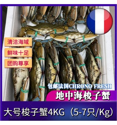 (单独发货包邮法国）中号4Kg！鲜活梭子蟹（5-7只 / 公斤） suozixie