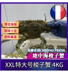 (冷链发货包邮法国FR）XXL超级特大号4Kg！鲜活梭子蟹（2-4只 / 公斤） suozixie