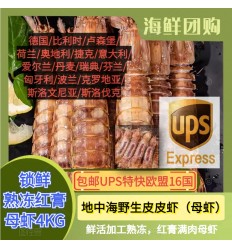 (空运发货包邮UPS欧盟16国）4Kg 活虾加工！渔港熟冻锁鲜 (红膏) 皮皮虾 Pipi Xia