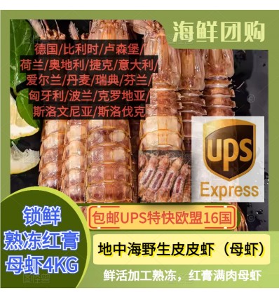 (单独发货包邮UPS欧盟16国）4Kg 鲜活熟冻 (红膏) 皮皮虾 Pipi Xia