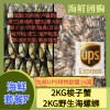 (单独发货包邮UPS欧盟16国）海鲜套餐F【2KG梭子蟹+2KG野生海螺蛳】 seafood
