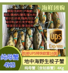 (空运发货包邮UPS欧盟16国）纯母蟹 (含姑娘蟹) 4Kg！鲜活梭子蟹 suozixie