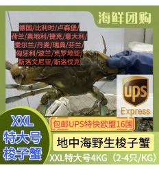 (空运发货包邮UPS欧盟16国）XXL超级特大号4Kg！鲜活梭子蟹（2-4只 / 公斤） suozixie