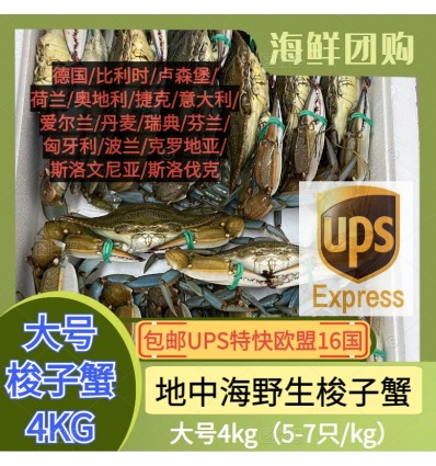 (单独发货包邮UPS欧盟16国）大号4Kg！鲜活梭子蟹（5-7只 / 公斤） suozixie