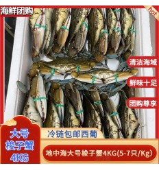 (冷链发货包邮西葡） 4Kg！大号鲜活梭子蟹（16-24只 / 箱） Cangrejos azules