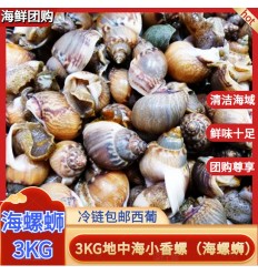 (冷链发货包邮西葡）野生地中海小香螺/海螺蛳 3KG Hailuo