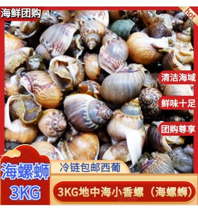 (U类仅发特快及自配送）新鲜小海螺/海螺蛳 约500g Hailuo
