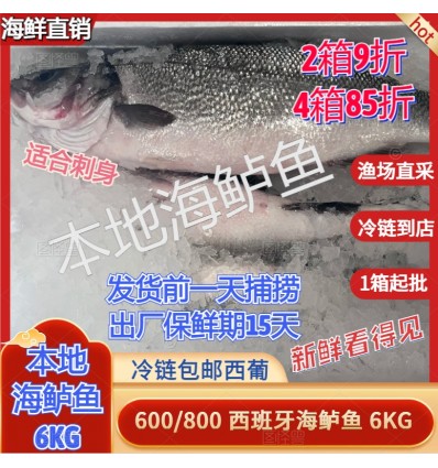(U类只发特快及自配送）冰鲜地中海新鲜海鲈鱼 1条 约400-600g lubina