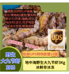 (空运发货包邮UPS欧盟16国） 3KG！ 地中海野生九节虾 seafood
