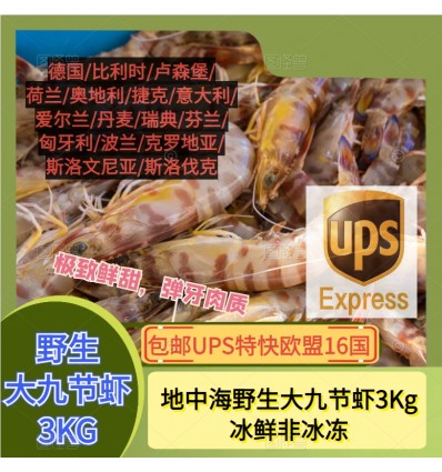(单独发货包邮UPS欧盟16国） 3KG！大号地中海野生九节虾 seafood