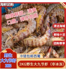 (冷链发货包邮西葡）2KG 野生九节虾 seafood