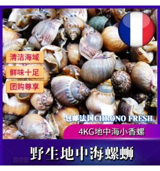 (冷链发货包邮法国FR）地中海小香螺/海螺蛳 4Kg Hailuo