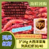 (空运发货包邮UPS欧盟16国） 3KG！船冻特级大西洋深海列兵红虾30/40 seafood