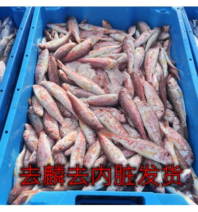 (冷链发货西葡法) 预处理新鲜地中海野生红鱼 1Kg rouget barbet