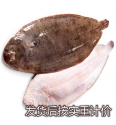 (冷链发货西葡法）地中海野生龙利鱼/鳎鱼1条 400-600g lenguado
