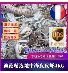 (包邮法国UPS航空次日达）4Kg！本地渔港精选鲜活皮皮虾 Pipi Xia