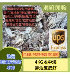 (空运发货包邮UPS欧盟16国）4Kg！本地渔港精选鲜活皮皮虾 Pipi Xia