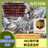 (单独发货包邮UPS欧盟16国）4Kg母虾！精选新鲜 (红膏) 皮皮虾 Pipi Xia
