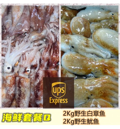 (空运发货包邮欧盟16国）海鲜套餐Q【2Kg野生白章鱼+2Kg野生鱿鱼】 seafood