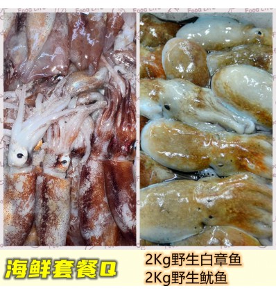 (冷链发货包邮西葡）海鲜套餐Q【2Kg野生白章鱼+2Kg野生鱿鱼】 seafood
