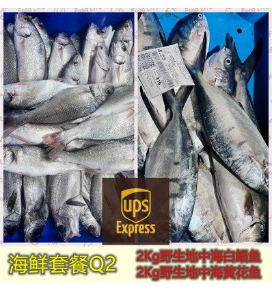 (空运发货包邮欧盟16国）海鲜套餐Q2【2Kg野生白鲳鱼+2Kg野生黄花鱼】 seafood