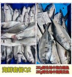 (冷链发货包邮西葡）海鲜套餐Q2【2Kg野生白鲳鱼+2Kg野生黄花鱼】 seafood