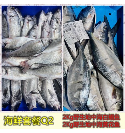 (冷链发货包邮西葡）海鲜套餐Q1【2Kg野生白鲳鱼+2Kg野生黄花鱼】 seafood