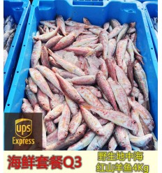 (空运发货包邮欧盟16国）海鲜套餐Q3 野生地中海红山羊鱼4Kg seafood