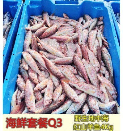 (冷链发货包邮西葡）海鲜套餐Q3 野生地中海红山羊鱼 seafood