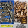 (空运发货包邮UPS欧盟16国）海鲜套餐F2【2KG梭子蟹+2KG刺螺】 seafood