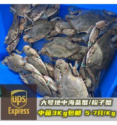 (空运发货包邮UPS欧盟16国）畅享装大号3Kg！鲜活梭子蟹（5-7只 / 公斤） suozixie