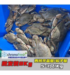 (冷链发货包邮法国FR）批发8Kg！大号鲜活梭子蟹（5-7只 / 公斤） suozixie