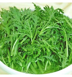 小叶茼蒿