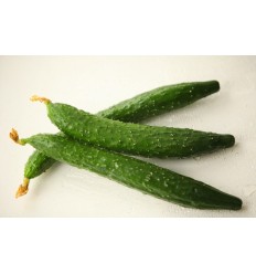 （易断品）有机中国刺黄瓜 0.9-1.1Kg Chinese Cucumber