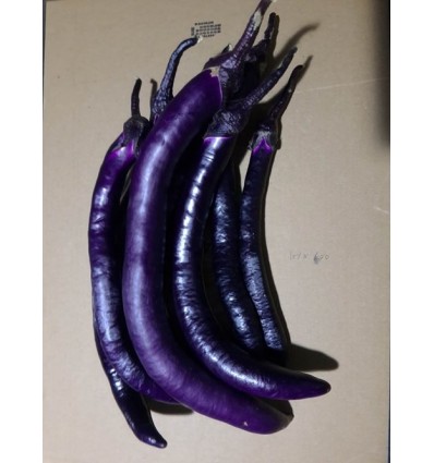 有机紫长茄 Chinese Long Eggplant 约400g