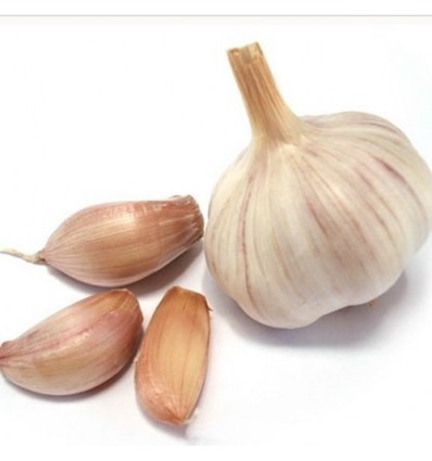 西班牙大蒜 Garlic 约500g