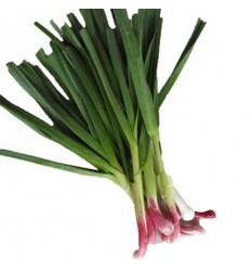 (U类 满3份9折） 有机蒜苗 / 青蒜 （无药蒜叶可能有斑点，在意勿拍） Garlic Sprouts 1扎