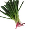 蒜苗/青蒜 Garlic Sprouts 1扎4-5条