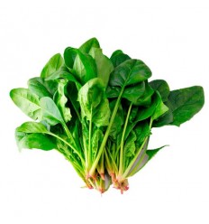 本地菠菜 Spinach 1扎 约400g
