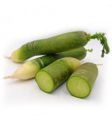 青萝卜Green Radish 约900-1100g