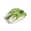黄金菜/黄芽菜 Golden cabbage 400g