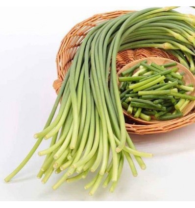 蒜苔/蒜芯 Garlic Spout 约400g