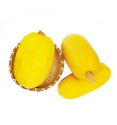 有机金丝鱼翅瓜 Golden Yuchi Kwa 约0.8-1Kg