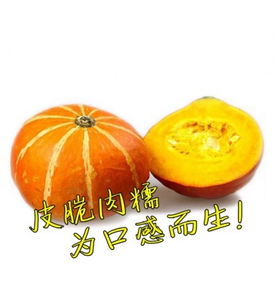 有机东升南瓜 Japanese Pumpkin 1个 1.4 kg