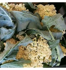 松花菜/散花菜（切开） Cauliflower 每份约500g