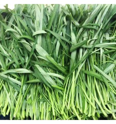 有机竹叶空心菜/通菜 Water Spinach 约300g