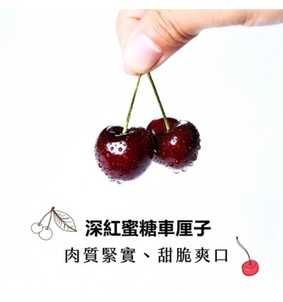樱桃/车厘子 Cherry 300g