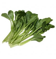 西班牙菜心