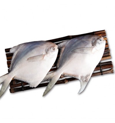 （A区）EMB冻鲳鱼 150/200g（2条装） Pomfret