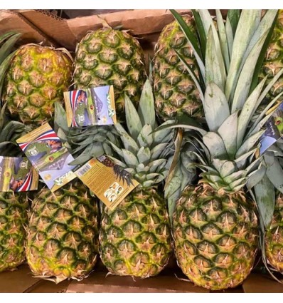 新鲜精品菠萝 pineapple 1只